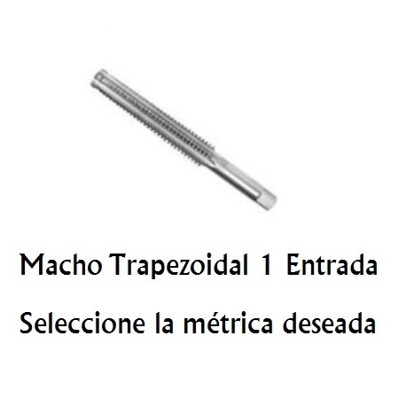Macho Trapezoidal 1 Entrada M12x3