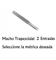 Macho Trapezoidal 2 Entradas M12x3 - Paso 6